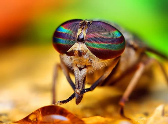 Foto - Daha önce duymadığınız ilginç bilgiler