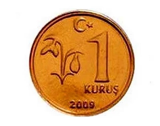 Foto - Daha önce duymadığınız ilginç bilgiler