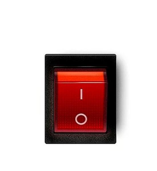 Foto - Daha önce duymadığınız ilginç bilgiler