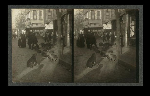 Foto - Daha önce görmediğiniz İstanbul fotoğrafları