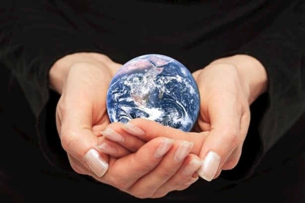 Foto - Daha önce hiç duymadığınız ilginç bilgiler