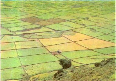 Foto - Daire arsa almak isteyenler dikkat! Yüzde 20 indirimle satışa çıkıyor