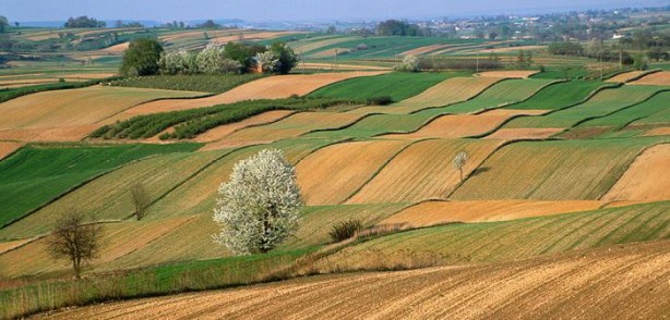 Foto - Daire arsa almak isteyenler dikkat! Yüzde 20 indirimle satışa çıkıyor