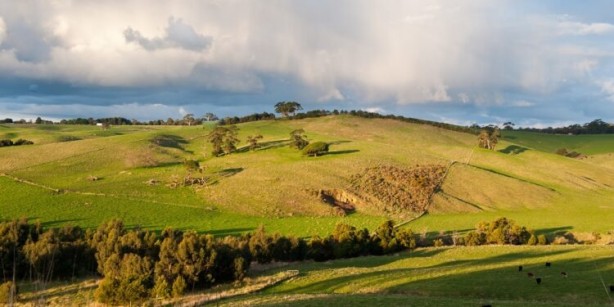 Foto - Daire arsa almak isteyenler dikkat! Yüzde 20 indirimle satışa çıkıyor