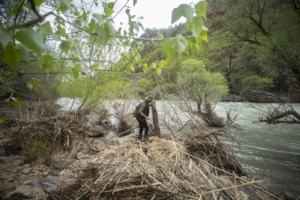 Foto - Dal ve taşları sanat eserine dönüştürüyor