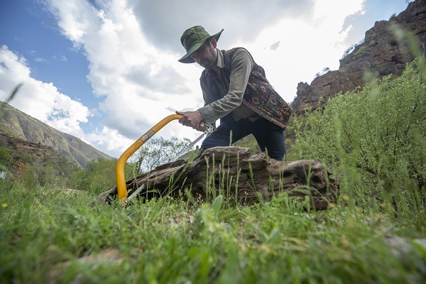 Foto - Dal ve taşları sanat eserine dönüştürüyor