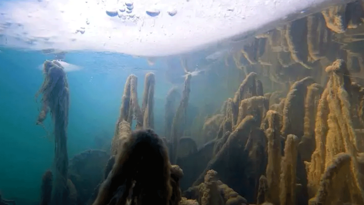 Van Gölü'nde dalgıçları şaşırtan keşif: Hiç bozulmadan kalmış!