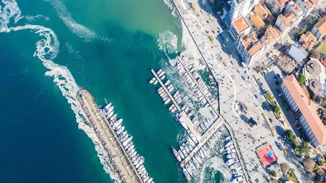 Foto - Dalgıçlar büyük sorunu görüntüledi! Boğazda gittikçe yoğunlaşıyor