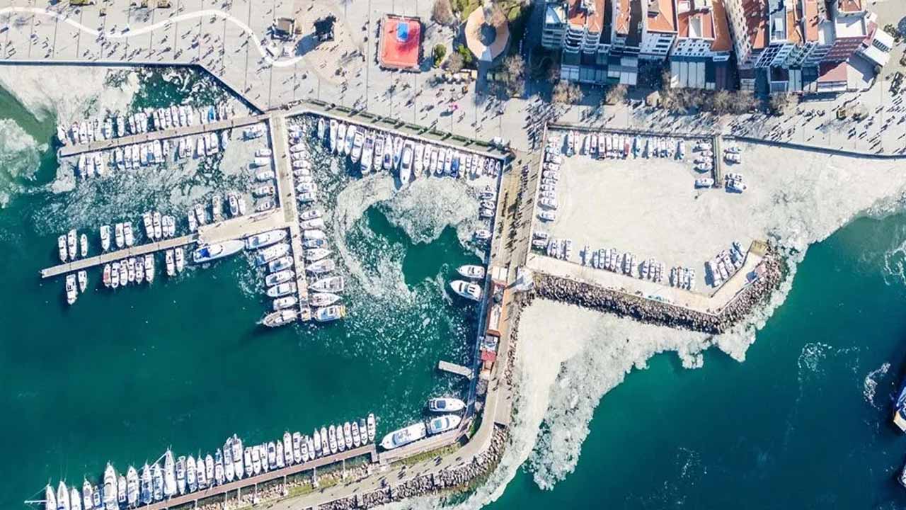 Foto - Dalgıçlar büyük sorunu görüntüledi! Boğazda gittikçe yoğunlaşıyor