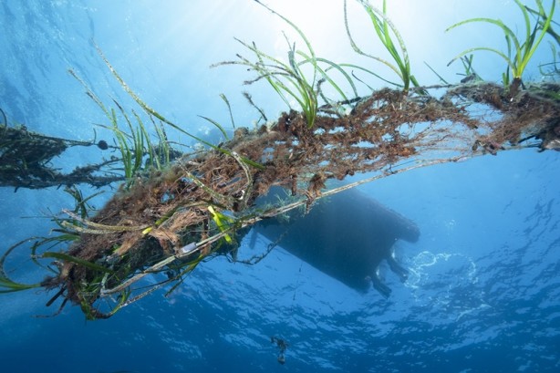 Dalgıçlar denizde hayalet ağ topladı, öğrenciler kıyıyı temizledi