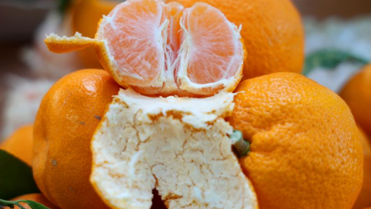 Dalında 3 lira, pazarda 5 lira! Kış aylarının vazgeçilmez tadı fiyatıyla yüzleri güldürdü