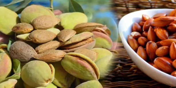 Foto - Damar tıkanıklığına iyi gelen 5 besin! Damarları açan, güçlendiren besinler