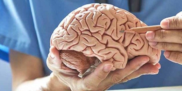 Foto - Damar tıkanıklığına iyi gelen 5 besin! Damarları açan, güçlendiren besinler