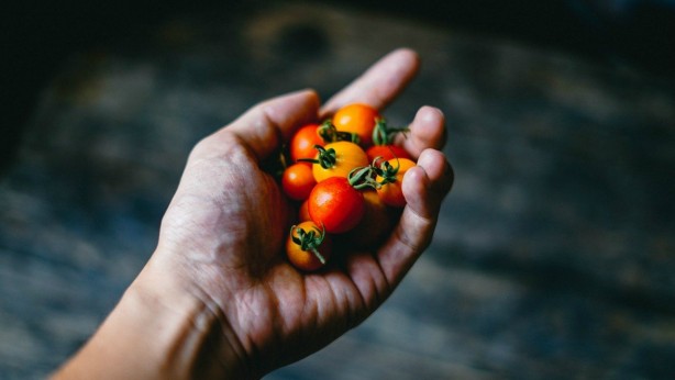 Foto - Damar ve kalp dostu kuersetin içeren yiyecekler