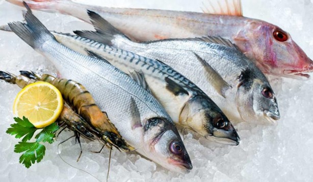 Foto - Damar ve kalp hastalıklardan koruyan besinler