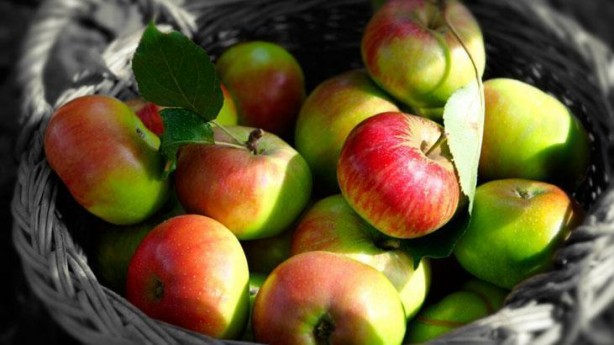 Foto - Damarlara yapışmış kolesterolü mum gibi eritme etkisi var! Çok etkili, ömrü uzatıyor