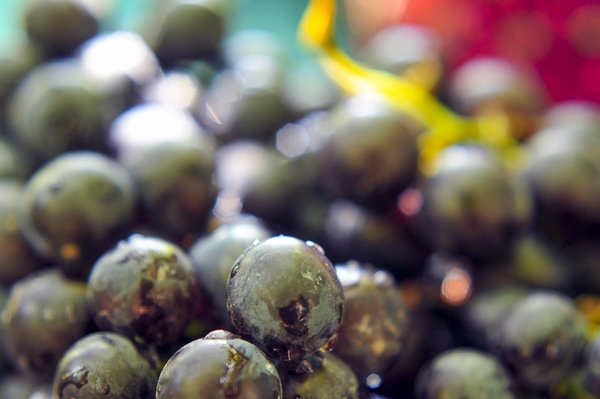 Foto - Damarlardaki donmuş yağı eritiyor! Kolesterolü 1 haftada dengeliyor