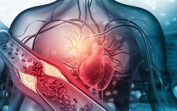 Foto - Damarları açan mucize içecek