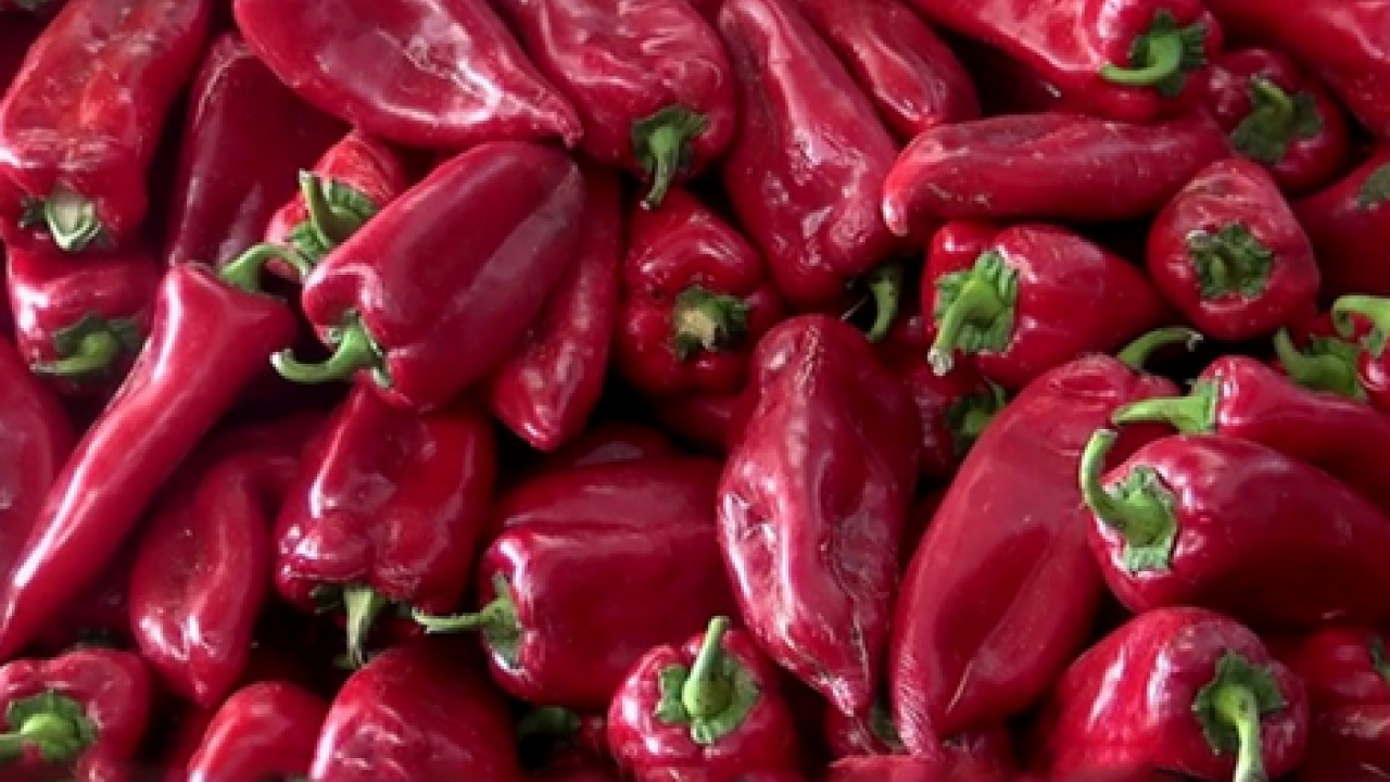 Foto - Damarları açıyor! Kalp sağlığını koruyor: Çırgal biberinin faydaları! 750 TL'den satılıyor