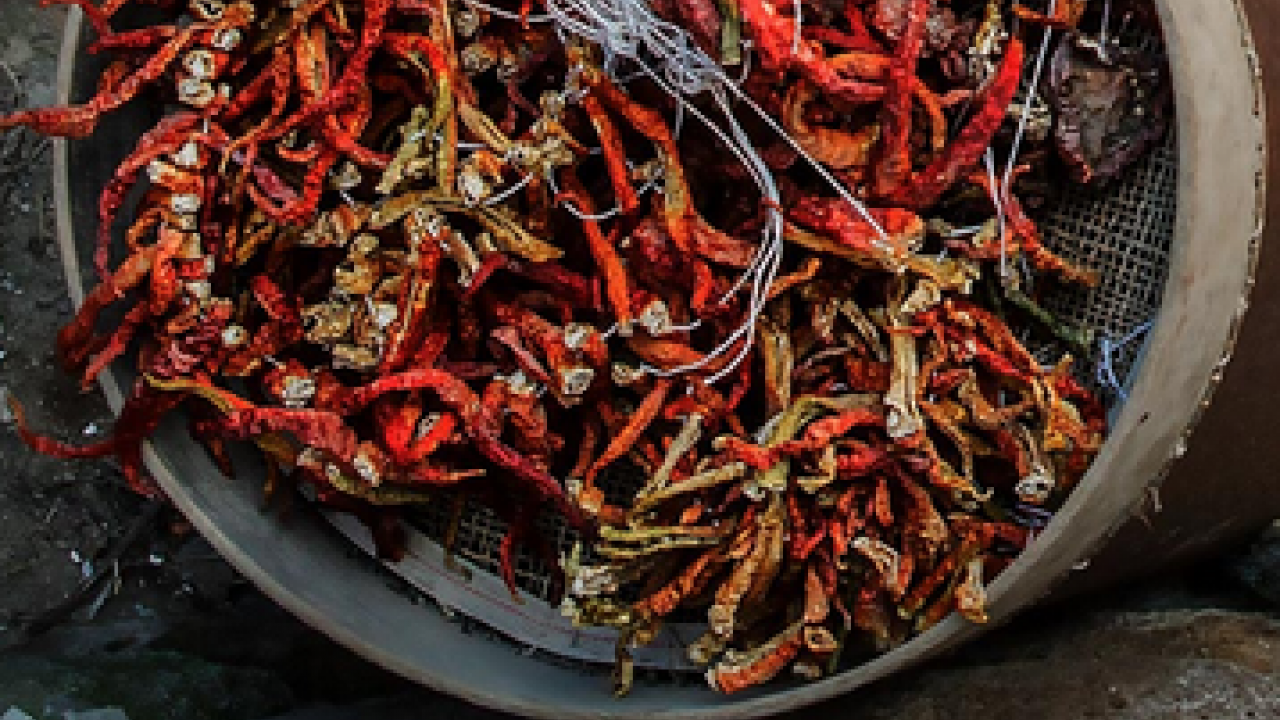 Foto - Damarları açıyor! Kalp sağlığını koruyor: Çırgal biberinin faydaları! 750 TL'den satılıyor