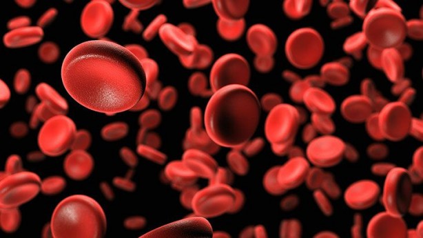 Foto - Damarları sağlıklı tutmanın 4 yolu