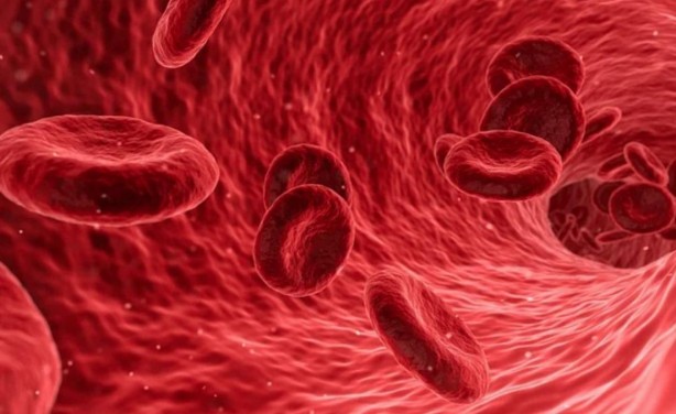 Foto - Damarları sağlıklı tutmanın 4 yolu