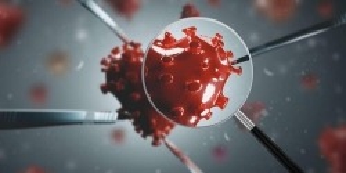 Foto - Damarları sağlıklı tutmanın 4 yolu