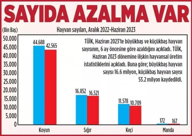 Foto - Danaya gen dopingi! Hem et hem süt üretimi artacak