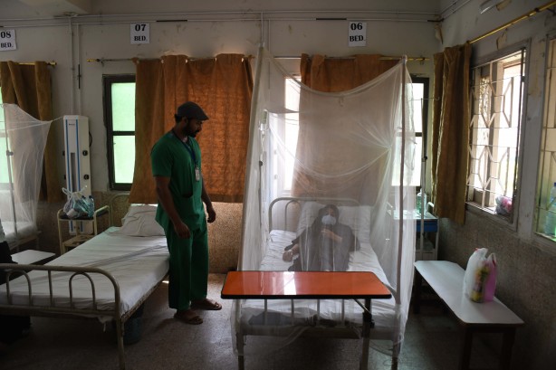 Foto - Dang humması kabusu! Son 6 haftada en az 30 kişi öldü