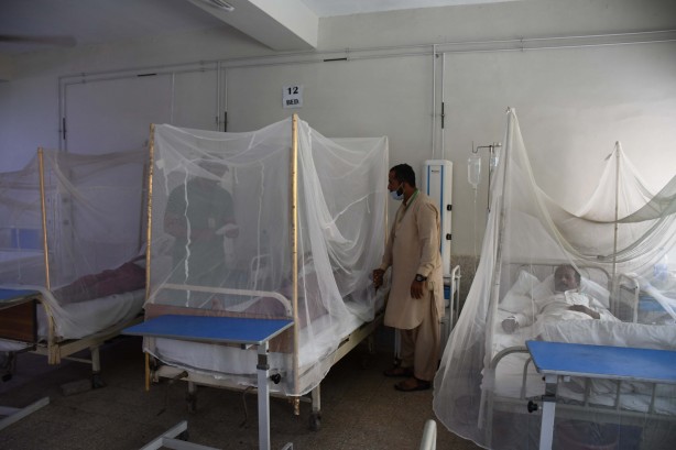 Dang humması kabusu! Son 6 haftada en az 30 kişi öldü