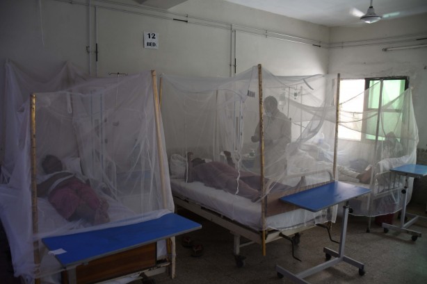 Foto - Dang humması kabusu! Son 6 haftada en az 30 kişi öldü