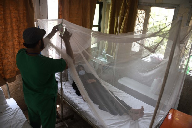 Foto - Dang humması kabusu! Son 6 haftada en az 30 kişi öldü