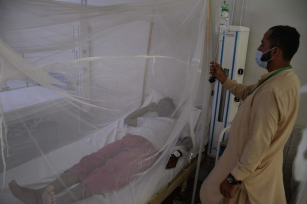 Foto - Dang humması kabusu! Son 6 haftada en az 30 kişi öldü