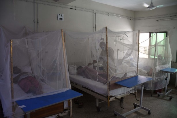 Foto - Dang humması kabusu! Son 6 haftada en az 30 kişi öldü