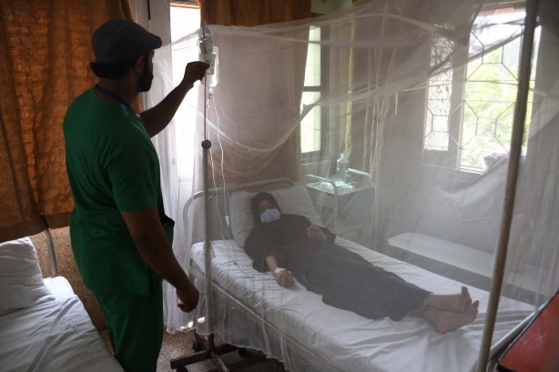 Foto - Dang humması kabusu! Son 6 haftada en az 30 kişi öldü