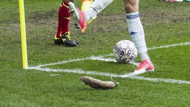 Foto - Danimarka bu görüntüleri konuşuyor!