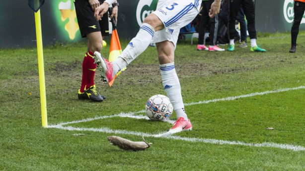 Foto - Danimarka bu görüntüleri konuşuyor!