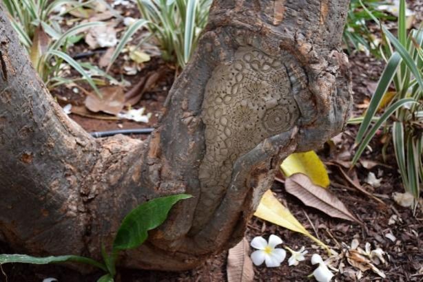 Foto - 'Dantel' sokaklara indi