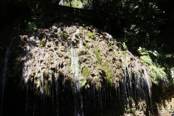 Foto - Daphne'nin gözyaşı ilgi çekiyor! Bu doğa harikası Türkiye'de