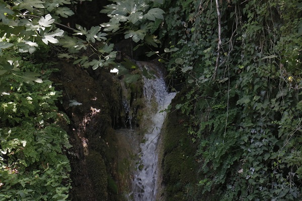 Foto - Daphne'nin gözyaşı ilgi çekiyor! Bu doğa harikası Türkiye'de