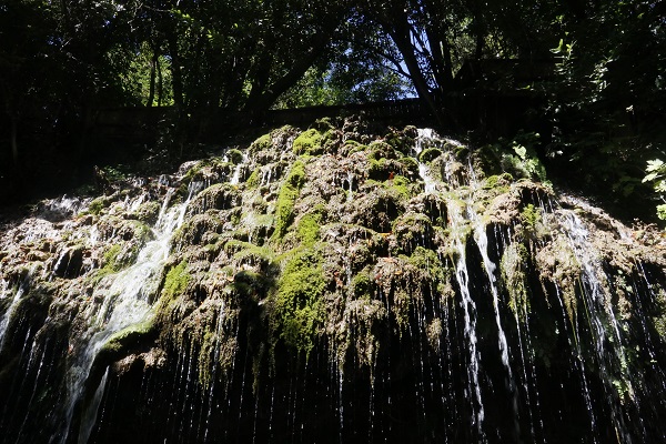 Foto - Daphne'nin gözyaşı ilgi çekiyor! Bu doğa harikası Türkiye'de