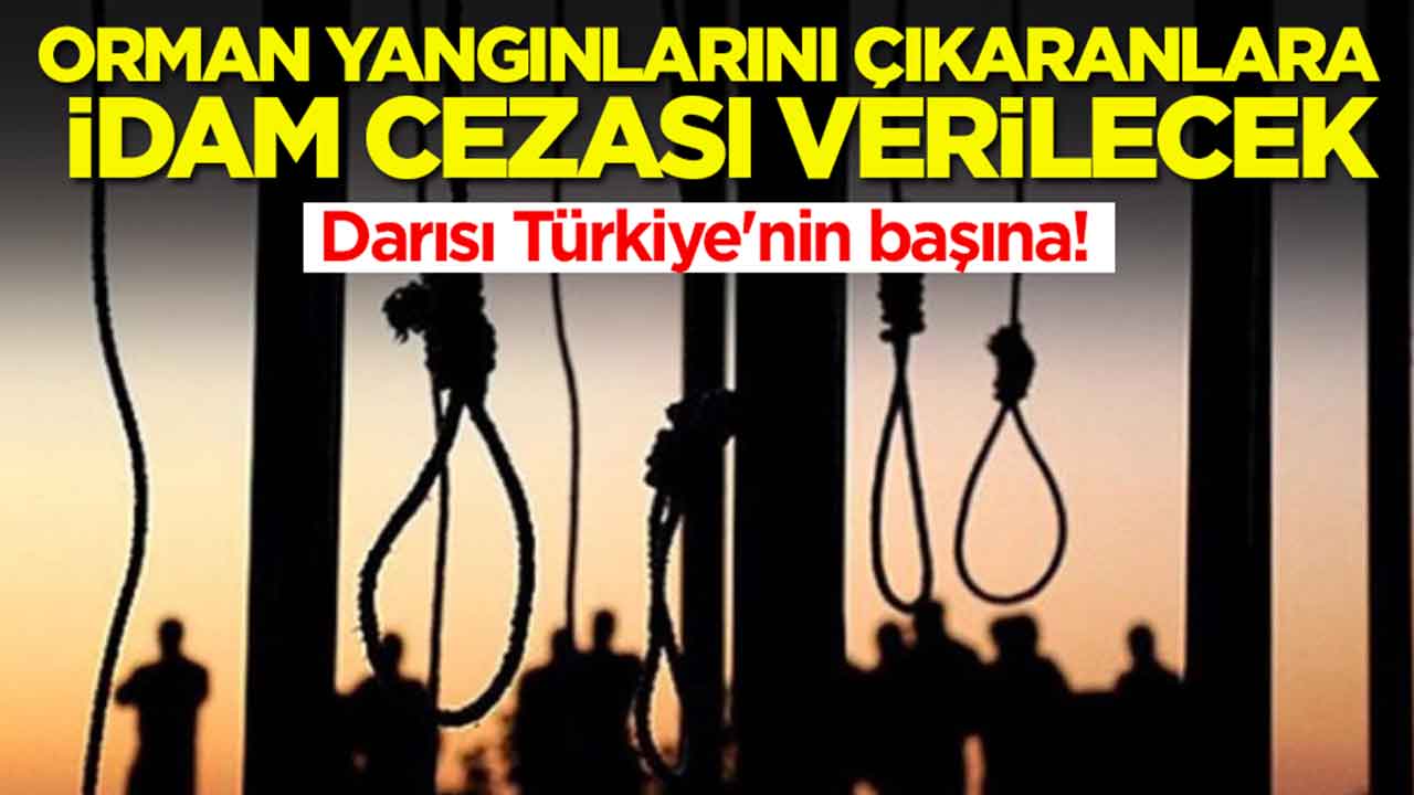 Darısı Türkiye'nin başına: Orman yangınlarını çıkaranlara idam cezası verilecek