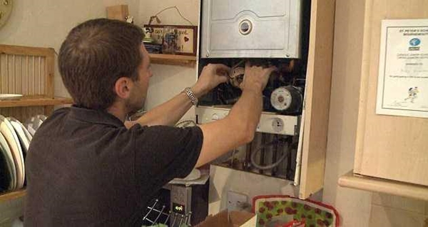 Foto - Davetsiz misafirler