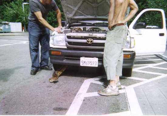 Foto - Davetsiz misafirler