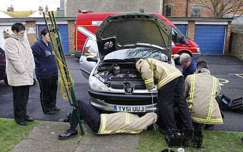 Foto - Davetsiz misafirler