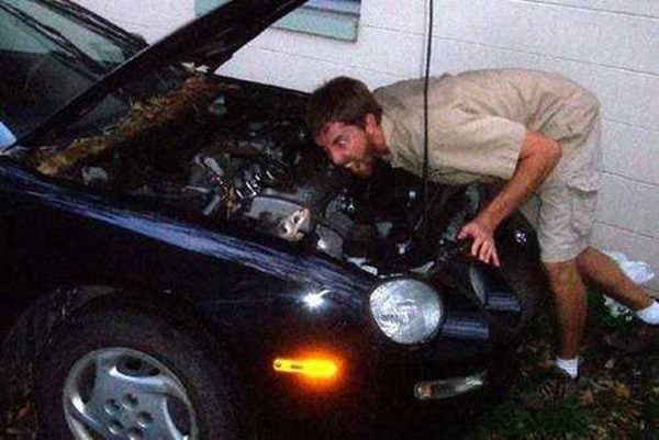 Foto - Davetsiz misafirler