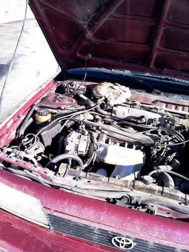 Foto - Davetsiz misafirler