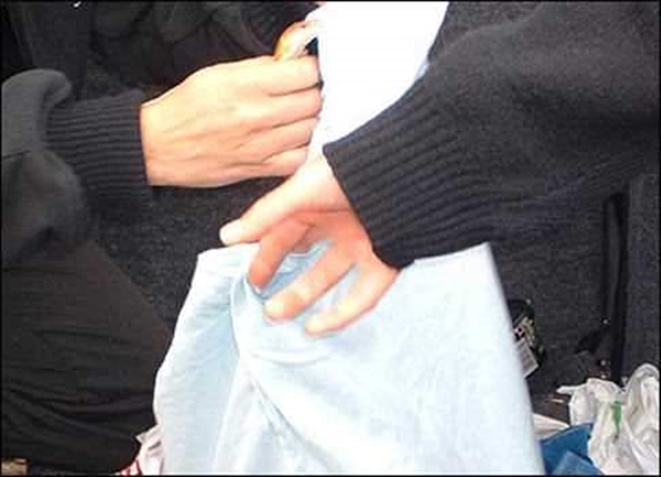 Foto - Davetsiz misafirler