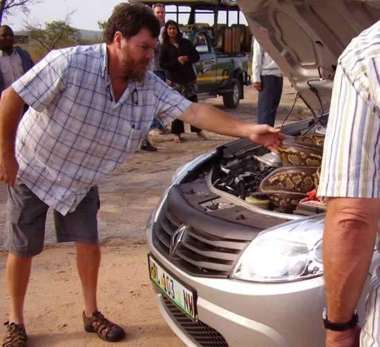 Foto - Davetsiz misafirler