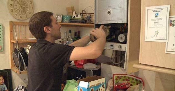 Foto - Davetsiz misafirler